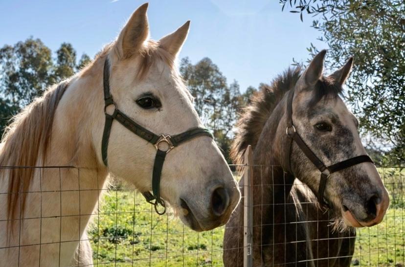 Casa Provence Family & Friends Mare & Natura Αλγκέρο Εξωτερικό φωτογραφία